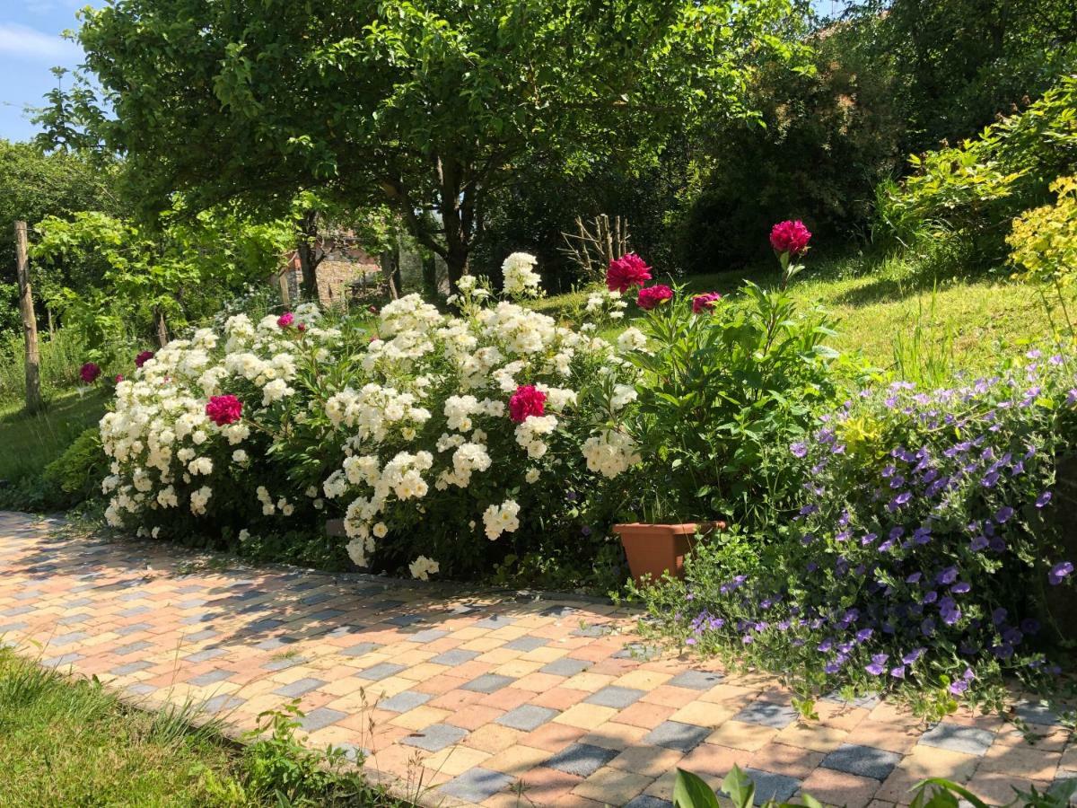 Holiday home La Tour Barbacane